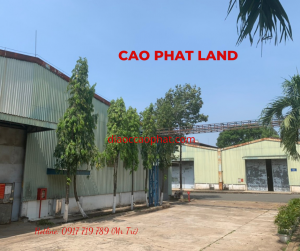 Cho thuê nhà xưởng trong cụm công nghiệp Long Bình, Đồng Nai