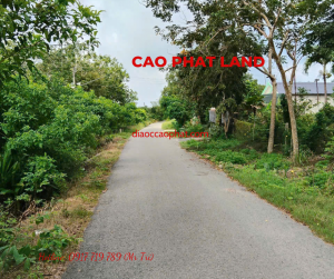 Bán đất tại An Lập, Dầu Tiếng, Bình Dương