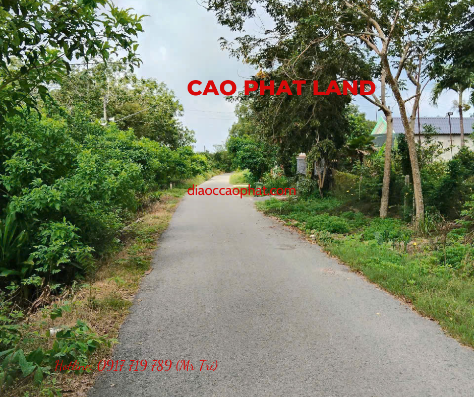 Bán đất tại An Lập, Dầu Tiếng, Bình Dương