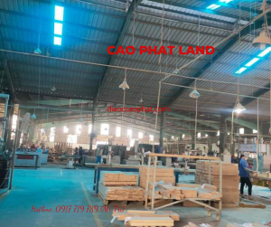 Bán nhà xưởng tại Tân Uyên, Bình Dương