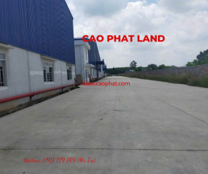 Cho thuê nhà xưởng Bến Cát, Bình Dương