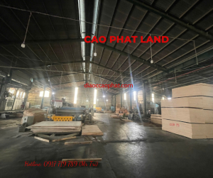 Cho thuê nhà xưởng tại Bến Cát, Bình Dương