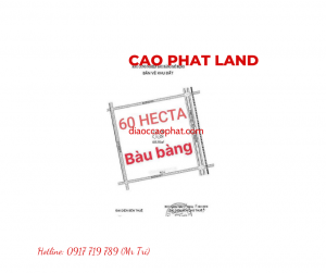 Bán đất trong khu công nghiệp Bàu Bàng, Bình Dương