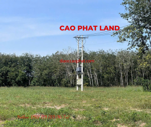 Bán đất tại Dầu Tiếng, Bình Dương