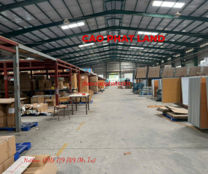 Cho thuê nhà xưởng trong khu công nghiệp Sóng Thần 3, Bình Dương