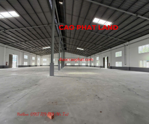 Cho thuê nhà xưởng trong khu công nghiệp Thủ Dầu Một, Bình Dương